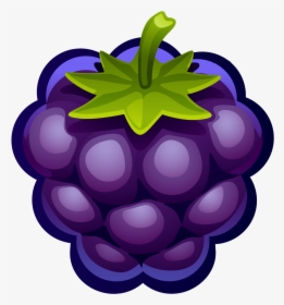 Blueberry Clipart - Blueberry Clipart Png, Transparent Png, Transparent PNG