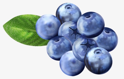 Clip Art Blueberries For Free - Transparent Background Blueberries Clip Art, HD Png Download, Transparent PNG