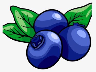 Muffin Clipart Fruit - Transparent Background Blueberry Clipart, HD Png Download, Transparent PNG