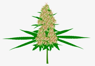 Cannabis, Bud, Marijuana, Hemp, Plant, Medicine, Pot - Cartoon Weed Bud Png, Transparent Png, Transparent PNG