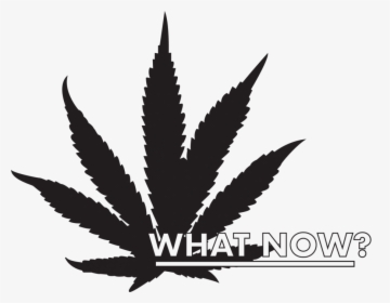 Transparent Weed Leaf Png - Marijuana Leaf Clipart, Png Download, Transparent PNG