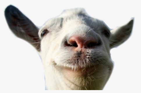 Transparent Goat Silhouette Png - Goat Simulator Goat Png, Png Download, Transparent PNG