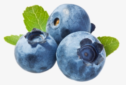 Blueberries Png - Do You Say Blueberry In Spanish, Transparent Png, Transparent PNG