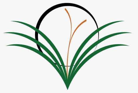 Plant,flora,leaf - Weedsclipart, HD Png Download, Transparent PNG
