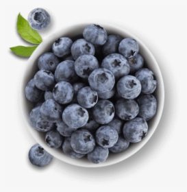 Clip Art Blueberries Mold - Lulu Hypermarket, HD Png Download, Transparent PNG