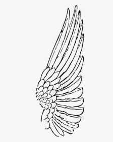 Angel Wings Side View Drawing, HD Png Download, Transparent PNG