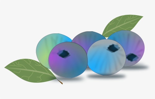 Blueberry - Animasi Blueberry, HD Png Download, Transparent PNG
