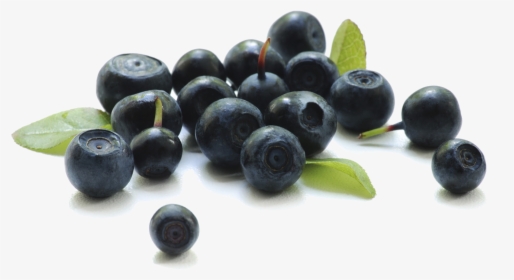 Blueberry Transparent Background - Acai Berries, HD Png Download, Transparent PNG