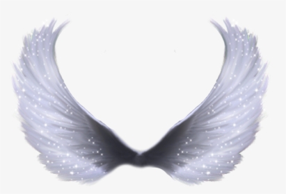 Wing Clip Art - Anime Angel Wings Png, Transparent Png, Transparent PNG