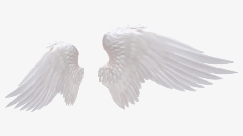 Transparent Transparent Wings Png - Realistic Angel Wings Png, Png Download, Transparent PNG