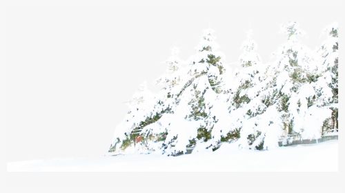 Tree Winter Pine Snow Free Download Png Hd Clipart - Transparent Background Winter Snow Snow Png, Png Download, Transparent PNG