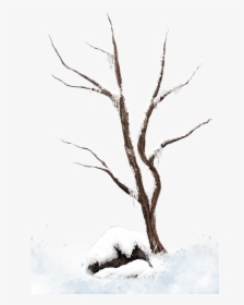 Transparent Winter Background Clipart - Winter Snow Tree Png Transparent, Png Download, Transparent PNG