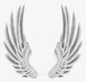 White Wings Png - Metal Wings Png Hd, Transparent Png, Transparent PNG