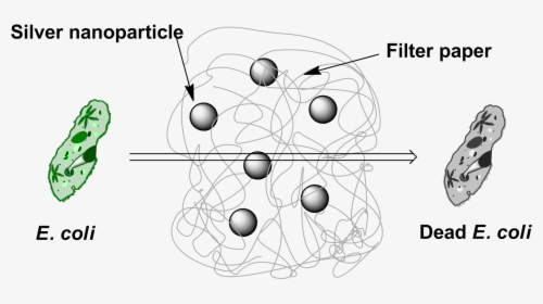Transparent Water Particles Png - Quantenphysik, Png Download, Transparent PNG