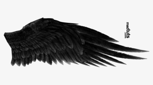 Black Wings Png Free Download - Black Angel Wings Png, Transparent Png, Transparent PNG