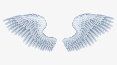 Baby Angel Wings Png, Transparent Png, Transparent PNG