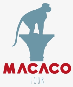 Macaco Tour, HD Png Download, Transparent PNG