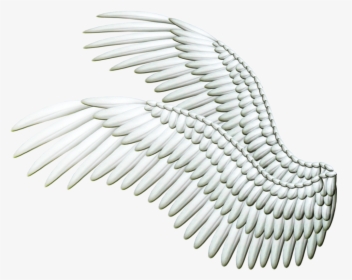 Wings Png, Transparent Png, Transparent PNG