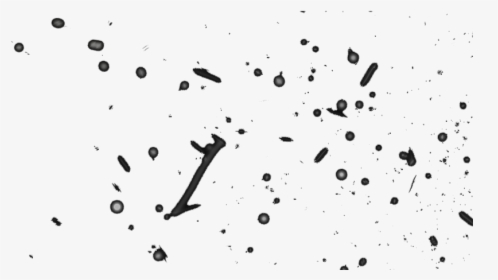 Particles Download Png Monochrome Transparent Png - smoke effect clipart roblox particle cartoon free