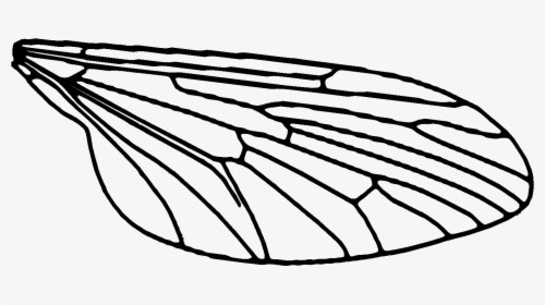 Each Wing Is Printed In 3 Pieces, A White Wing Sandwiched - Transparent Fly Wings, HD Png Download, Transparent PNG