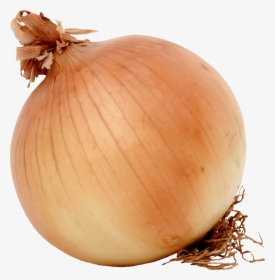 Onion,food,winter Squash - Onion Clipart, HD Png Download, Transparent PNG