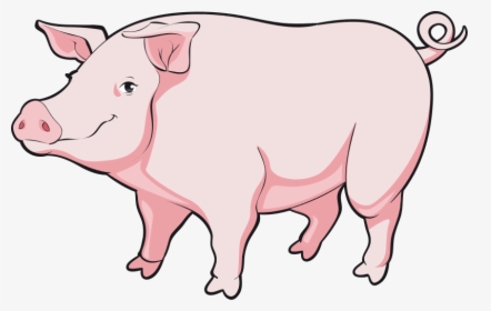 Transparent Baby Pig Clipart - Realistic Pig Png Clipart, Png Download, Transparent PNG