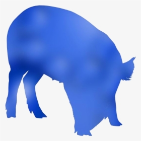 Domestic Pig Png Transparent Clipart For Download - Pig, Png Download, Transparent PNG