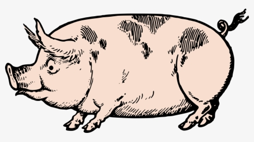 Cute Vintage Pig Clip Art & Stock Vector Oh So Nifty - Vintage Pig Clip Art, HD Png Download, Transparent PNG