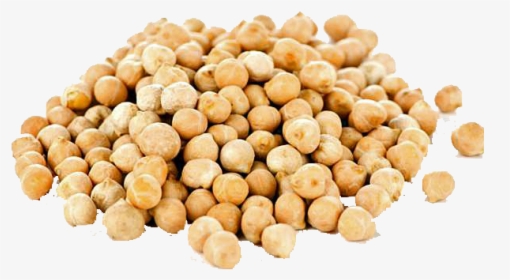 Chick Pea Scientific Name, HD Png Download, Transparent PNG