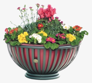 Metal Planter With Tub To Furnish Public Spaces, Tulip - Flower Tree With Tub, HD Png Download, Transparent PNG