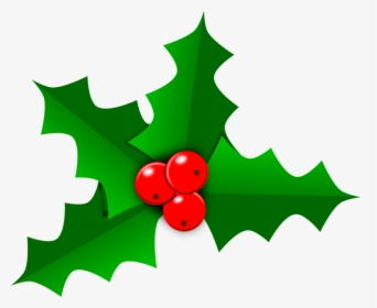 Holly, Christmas, Leaf, Green, Decoration, Berry - Transparent Holly Leaf Png, Png Download, Transparent PNG