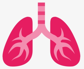 Lung Png - Lungs Emoji Png, Transparent Png, Transparent PNG