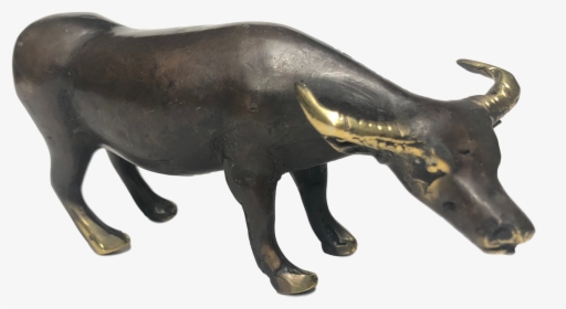 Water Buffalo, HD Png Download, Transparent PNG