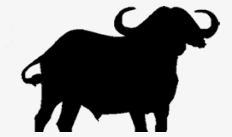 Bufala Vector, HD Png Download, Transparent PNG