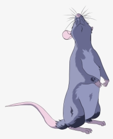 Clip Art Rat Standing Up - Rat Drawing, HD Png Download, Transparent PNG