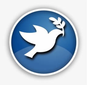 Peacedove - World Peace Day Nice, HD Png Download, Transparent PNG
