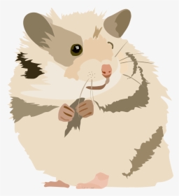 Transparent Rat Clipart Png - Png Hamster Clipart, Png Download, Transparent PNG