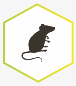 Rat Rodent Silhouette - Mice Symbol, HD Png Download, Transparent PNG