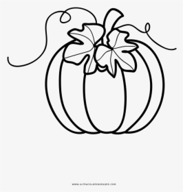 Hd Pumpkin Coloring Page - Pumpkin Clipart Color Page, HD Png Download, Transparent PNG