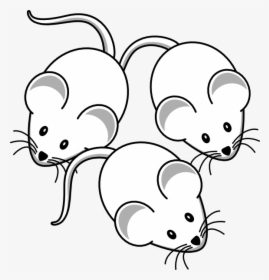Clip Art At Clker Com Vector - 3 Mice Clipart Black And White, HD Png Download, Transparent PNG