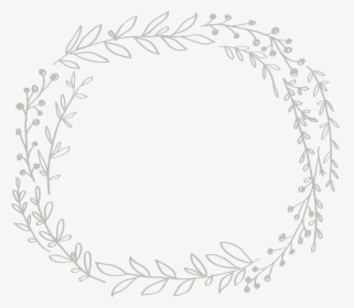 Transparent Pumpkin Clipart Black And White Vines - Drawing, HD Png Download, Transparent PNG