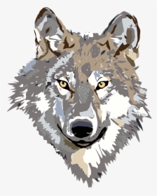 Wolf, Face, Head, Gray, Brown, Animal, Wild, Predator - Wolf Clipart Png, Transparent Png, Transparent PNG