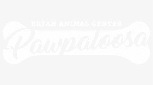 Bryan Animal Center S Pawpaloosa 2018 Event Promo Iamge - Howler Brothers, HD Png Download, Transparent PNG