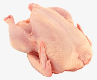Chicken-breast - Pollo Png, Transparent Png, Transparent PNG