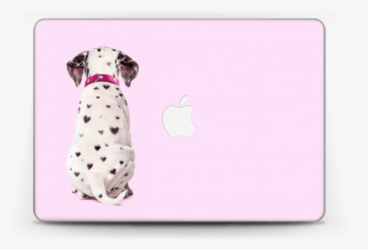 Puppy Sitting Back View , Png Download - Dalmatian, Transparent Png, Transparent PNG