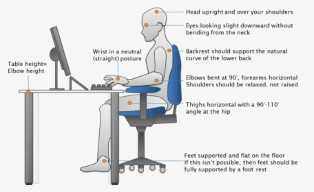 Office Chair Reduce Back Pain - Good Posture Uc Davis, HD Png Download, Transparent PNG