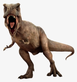 Dinosaur Png - Transparent Background Dinosaur Png, Png Download, Transparent PNG