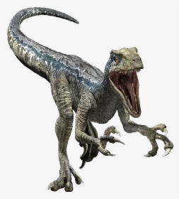 Transparent Dinosaur - Jurassic World Evolution Velociraptor, HD Png Download, Transparent PNG