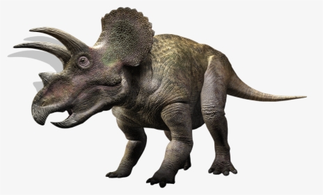 Triceratop Png Transparent - History Channel After 12 Meme, Png Download, Transparent PNG