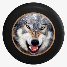Growling American Grey White Lone Wolf Rv Camper Spare - Ulug Bek Baxshi Qo Shiqlari, HD Png Download, Transparent PNG